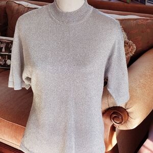 Gorgeous Shiny Silver Sweater.